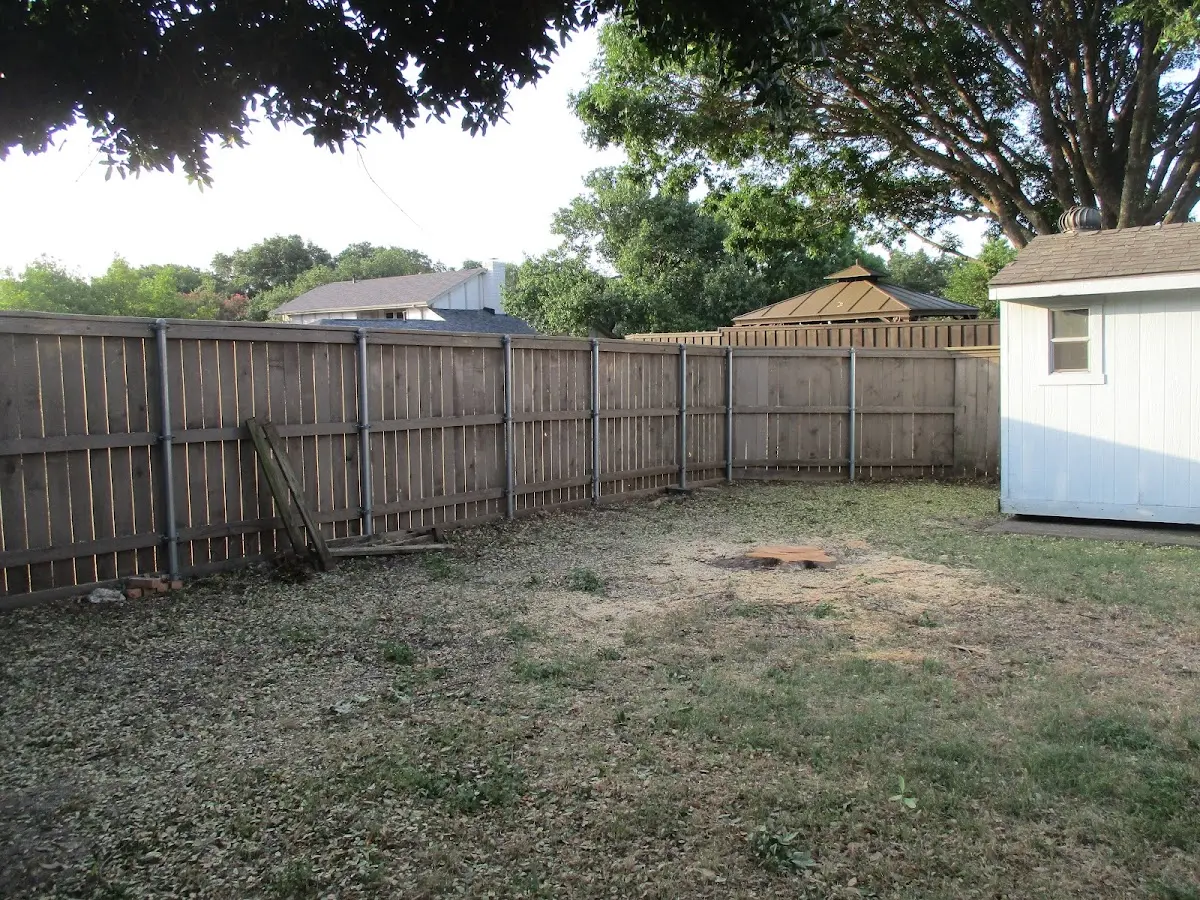 Cleared yard after professional tree removal in Pep