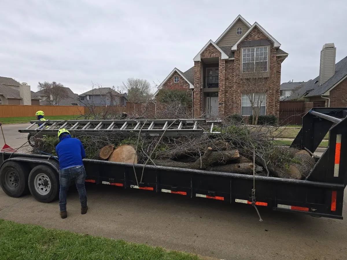 Expert Lot Clearing with proper safety equipment in Pep